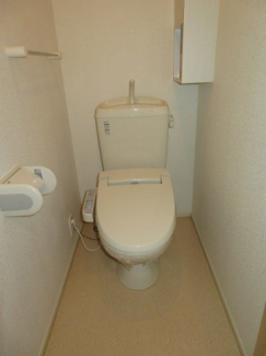 落ち着いた色調のトイレです