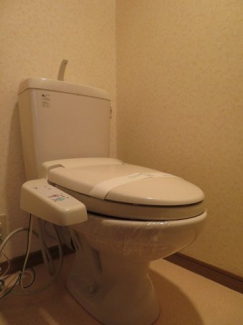 落ち着いたトイレです