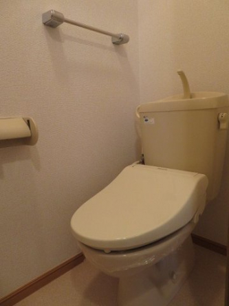 落ち着いた色調のトイレです