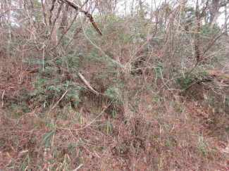 三重県伊賀市比土の売地の画像