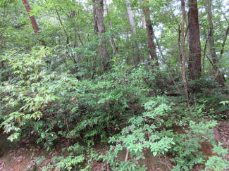 三重県津市白山町山田野の売地の画像