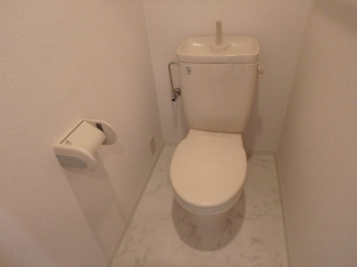 落ち着いた色調のトイレです