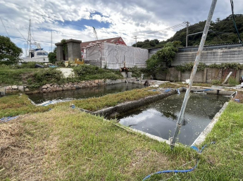 ドーナツ池の南に貯水池有り