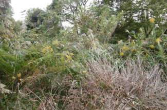 兵庫県西宮市山口町金仙寺の売地の画像