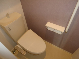 落ち着いた色調のトイレです