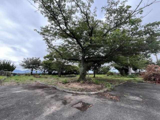 桜の木の広場があります。　撤去も可能ですし、残すこともできま
