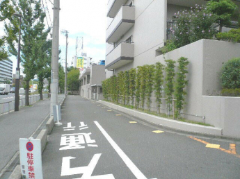 道路