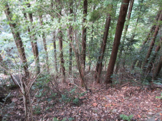 和歌山県伊都郡九度山町大字東郷の売地の画像