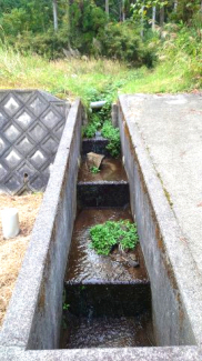 山水が流れています。