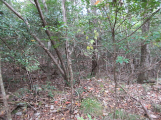 兵庫県三田市上青野の売地の画像