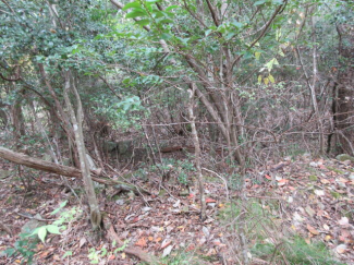 兵庫県三田市上青野の売地の画像