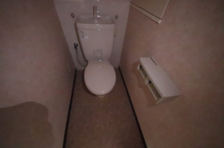 落ち着いた色調のトイレです