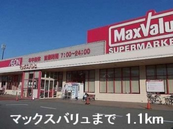 マックスバリュまで1100m