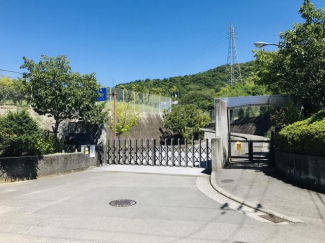 松山市立桑原中学校まで1239m