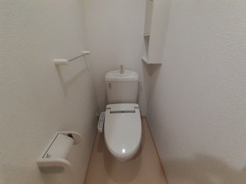 落ち着いた色調のトイレです