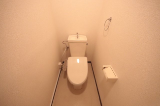 落ち着いた色調のトイレです