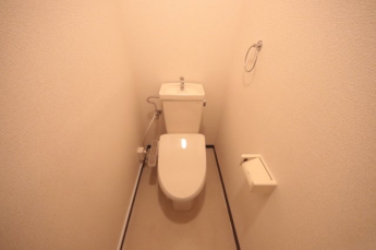 落ち着いた色調のトイレです