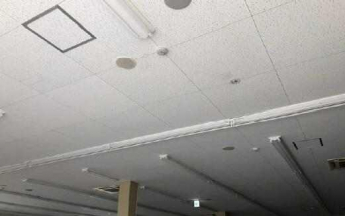 長浜市大辰巳町の店舗事務所の画像