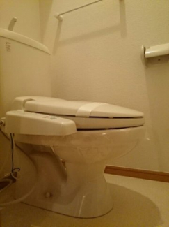 落ち着いたトイレです