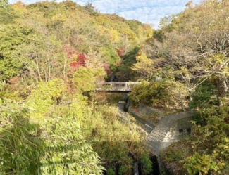 東急ドエル・アルス西宮越木岩の画像