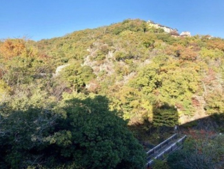 東急ドエル・アルス西宮越木岩の画像