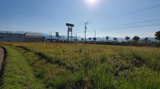 松山市水泥町の売地の画像