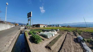 松山市水泥町の売地の画像