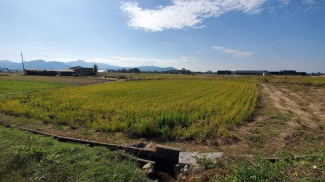 松山市水泥町の売地の画像