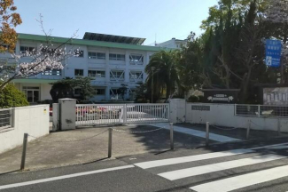 松山市立垣生小学校まで700m