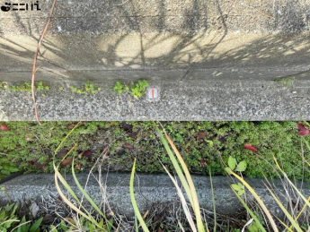 【その他】