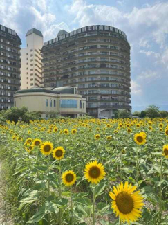 琵琶湖アーバンリゾートⅠ番館の画像