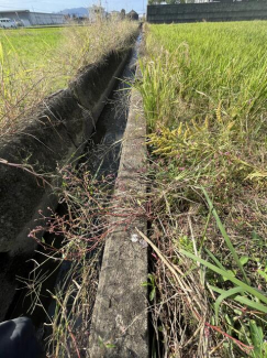 和歌山県御坊市野口の売地の画像