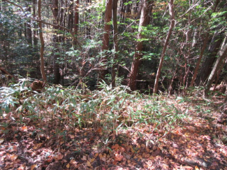 岐阜県中津川市高山の売地の画像