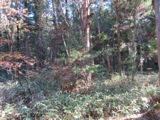 岐阜県中津川市阿木の売地の画像