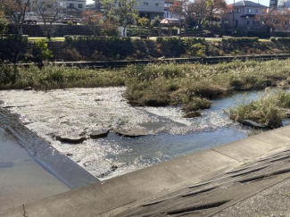 敷地目の前の石手川まで10m