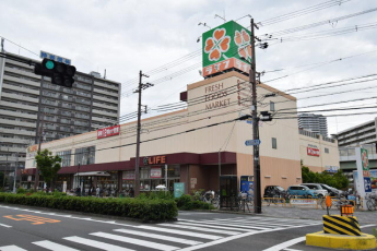 ライフ毛馬店まで220m