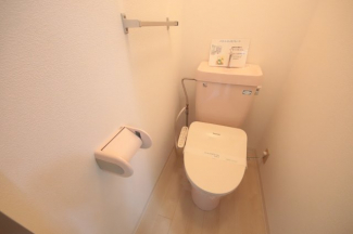 落ち着いた色調のトイレです