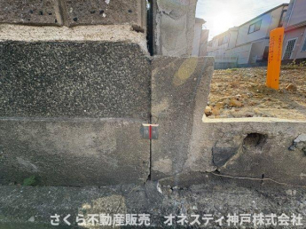 現地写真（2024年12月）