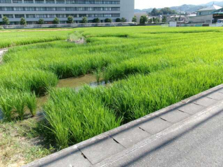 伊予郡砥部町高尾田の売地の画像