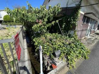 松山市枝松１丁目の売地の画像