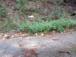 兵庫県三田市藍本の売地の画像