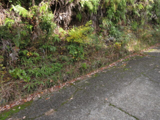 和歌山県有田郡有田川町大字粟生の売地の画像