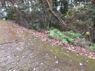 和歌山県有田郡有田川町大字粟生の売地の画像