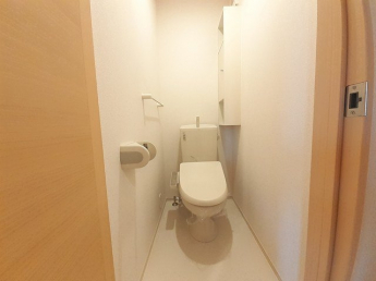 落ち着いた色調のトイレです