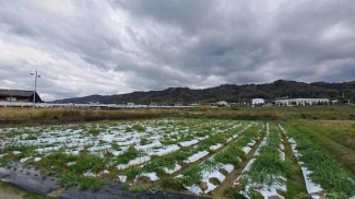 伊予市上吾川の売地の画像