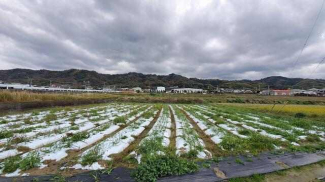 伊予市上吾川の売地の画像