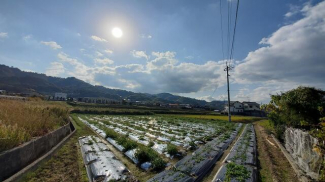 伊予市上吾川の売地の画像