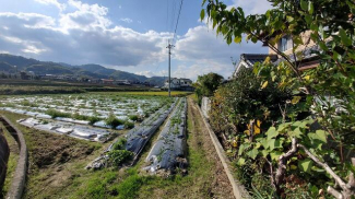 伊予市上吾川の売地の画像