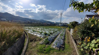 伊予市上吾川の売地の画像