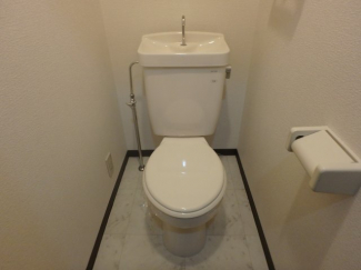 落ち着いた色調のトイレです